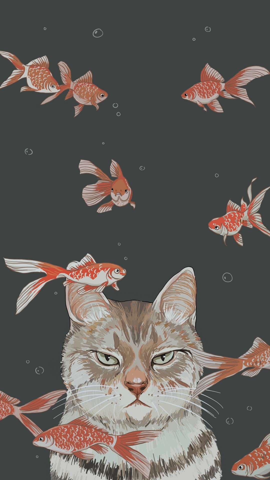 Lovely Cat 😽 - Animal Wallpapaee Aceylic - HD Wallpaper 