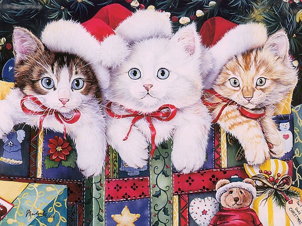 Christmas Cats And Kittens - HD Wallpaper 