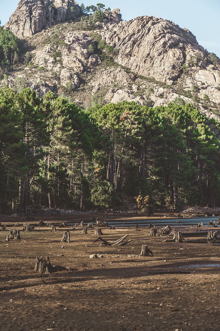 Cut Trees Beside Body Of Water, Nature, Outdoors, Wilderness, - Summit - HD Wallpaper 