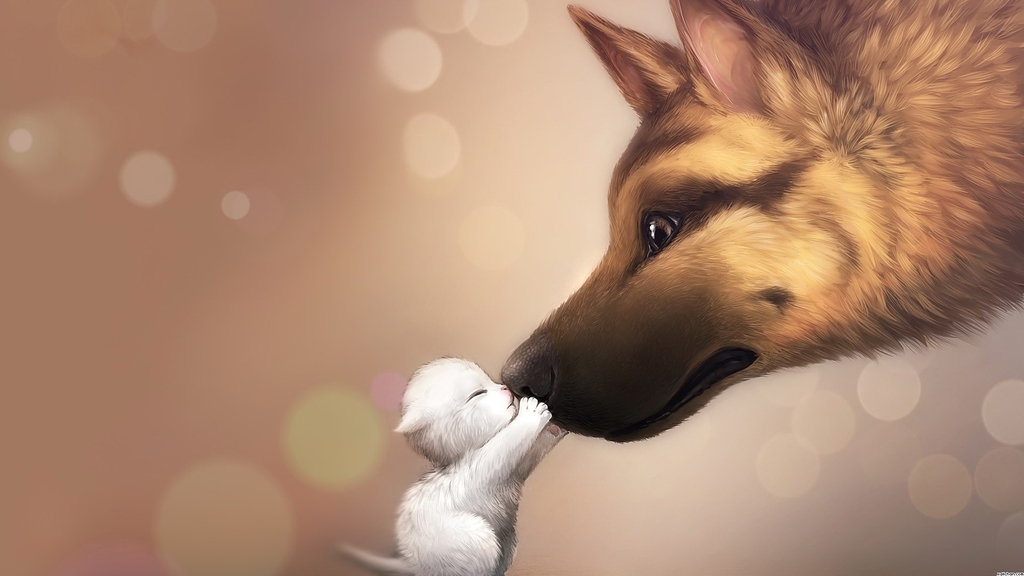 Dog, Cat, And Animal Image - Cutest Wallpapers Ever - 1024x576 Wallpaper - Dog, Cat, And Animal Image - Cutest Wallpapers Ever - 1024x576 Wallpaper -