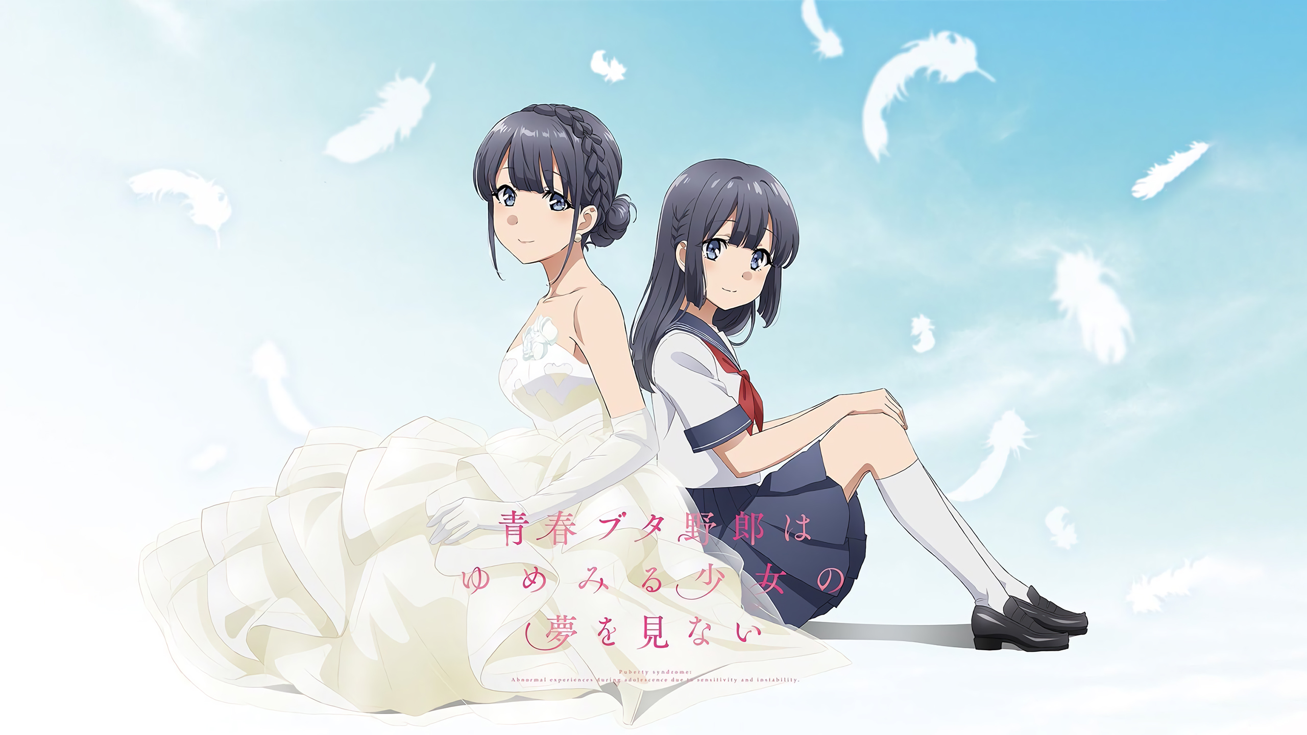 Seishun Buta Yarou Wa Yumemiru Shoujo No Yume Wo Minai - HD Wallpaper 