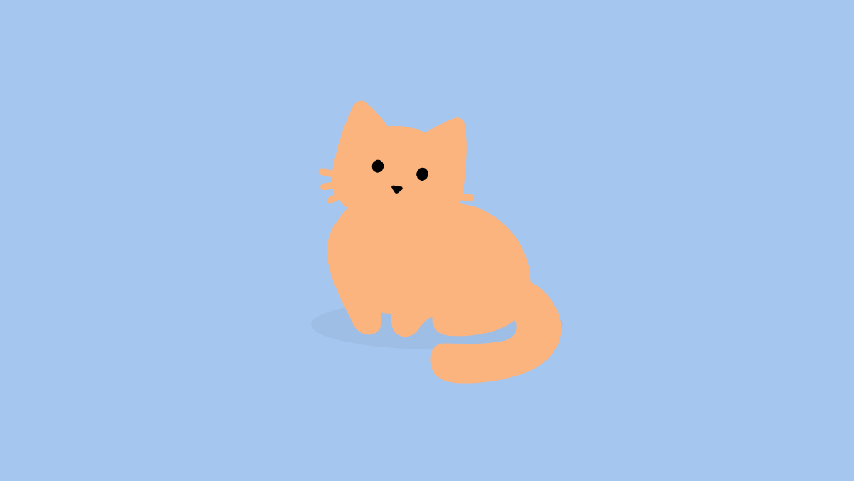 Tabby Cat App - HD Wallpaper 
