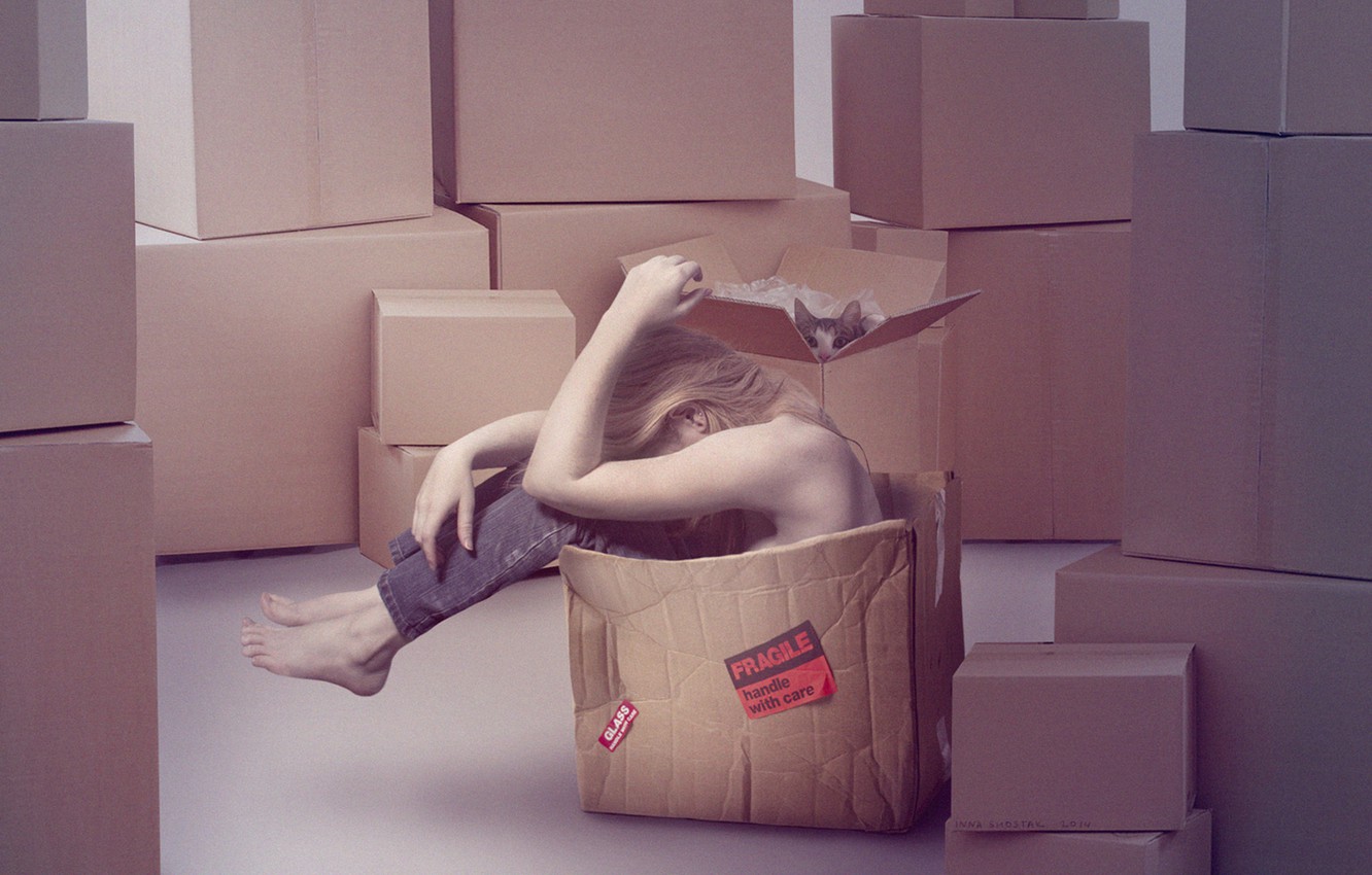 Photo Wallpaper Cat, Girl, Box, Sadness, Cardboard, - Переезд Девушка - HD Wallpaper 