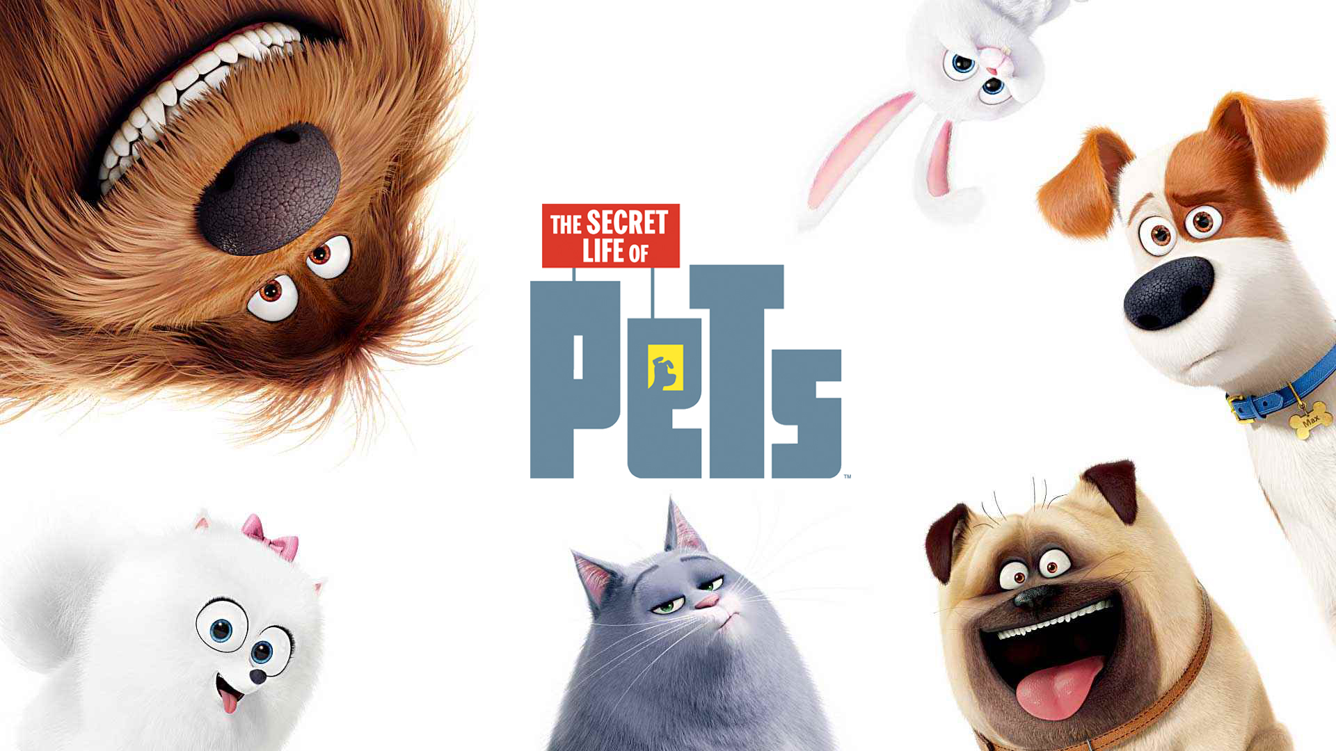 Amazing The Secret Life Of Pets Image - Secret Life Of Pets 2 2019 - HD Wallpaper 