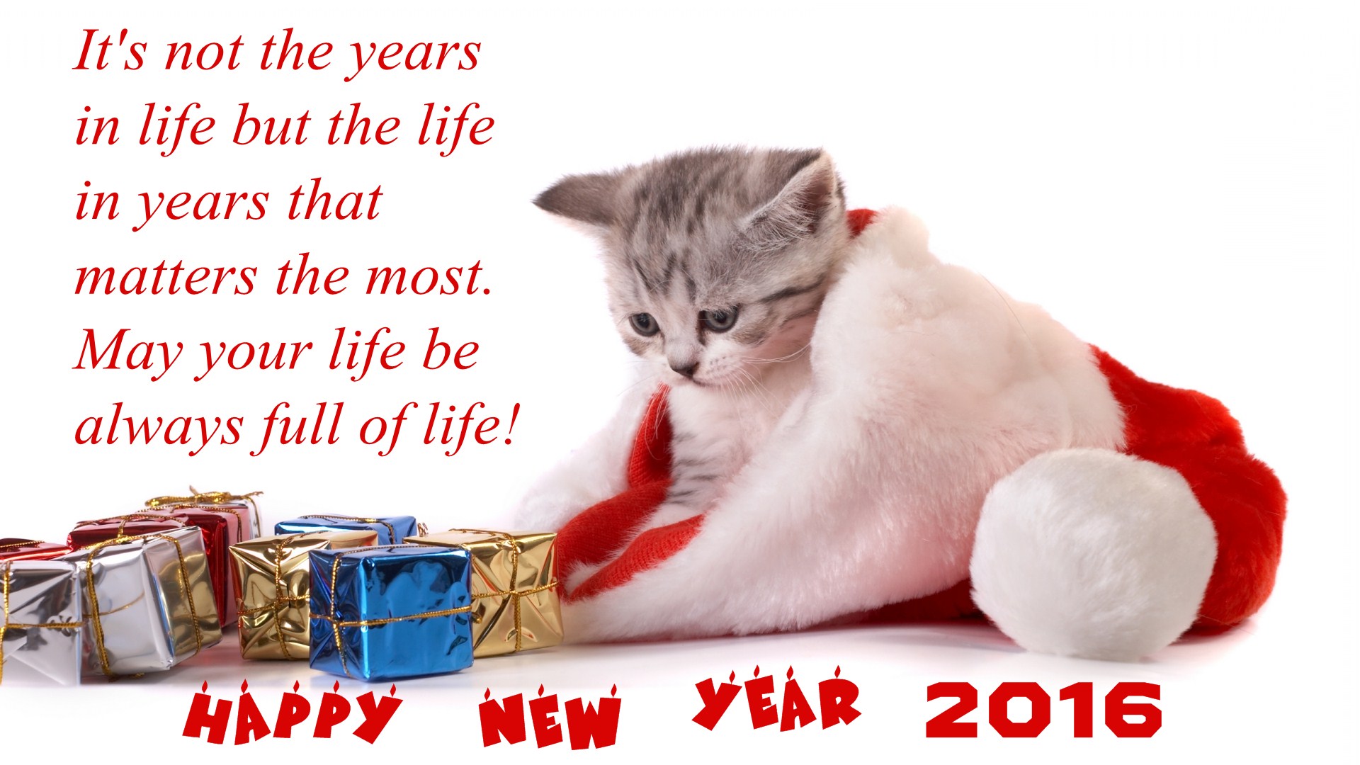 Free Happy New Year Download Kitten Desktop Hd Photos - Wallpaper - HD Wallpaper 