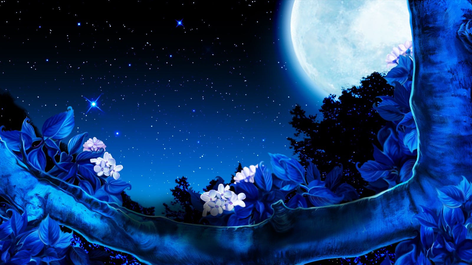 Moonlight - HD Wallpaper 