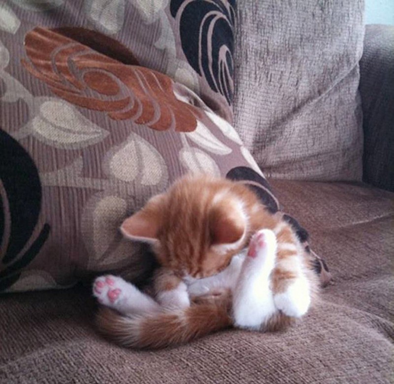 Sleep Folded In Half - HD Wallpaper 