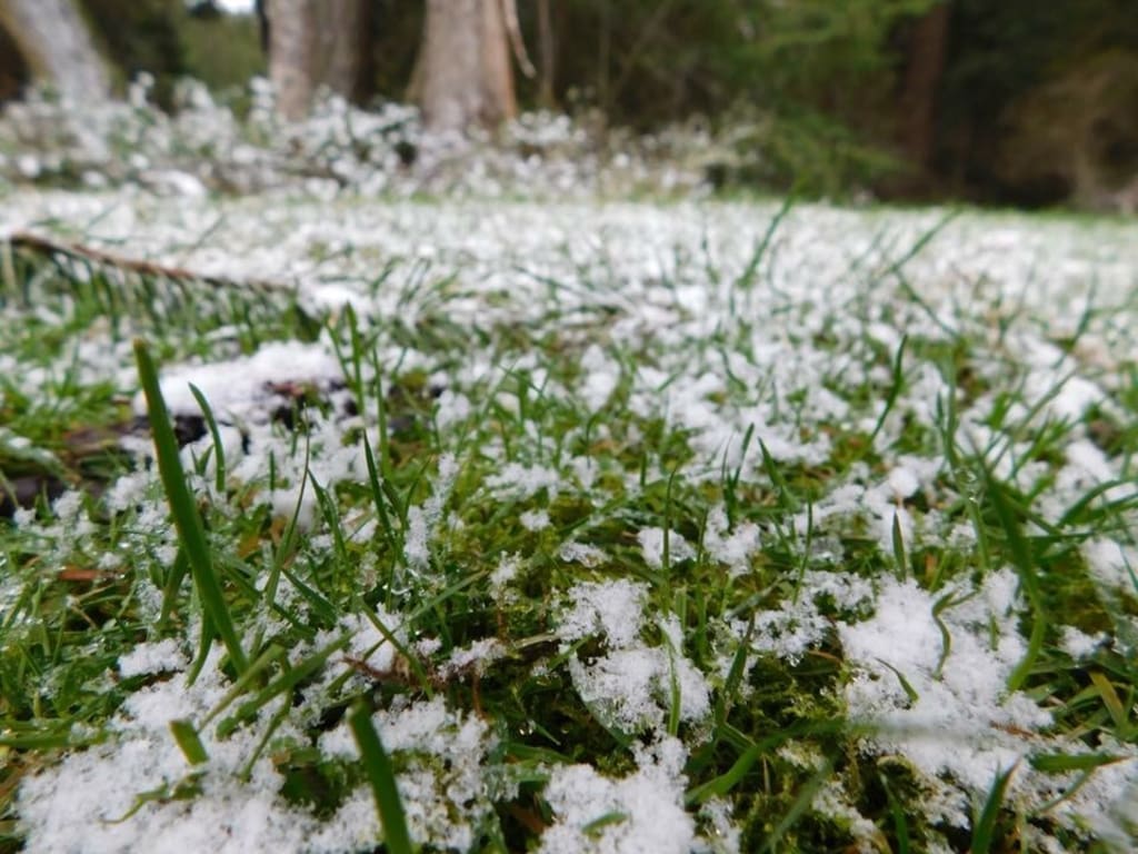 Snow - HD Wallpaper 