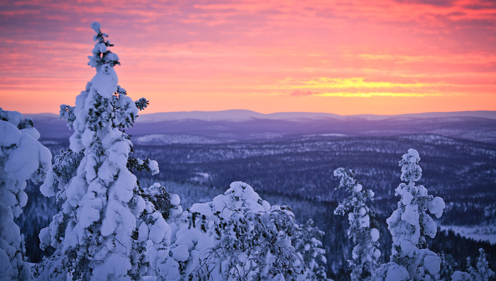 Finland, Snow, Forest, Sunset, Winter, Lapland, January - Lapland Winter - HD Wallpaper 