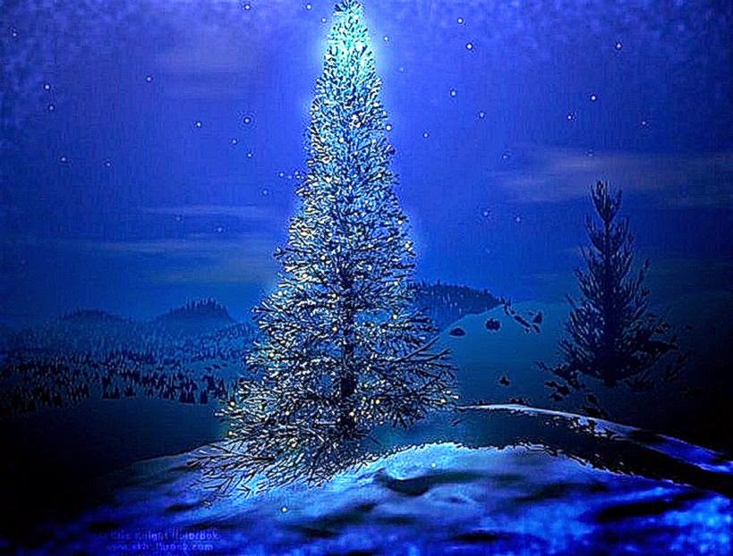 3d Christmas Tree Beautiful Background Hd Wallpaper - Christmas Tree Outside - HD Wallpaper 
