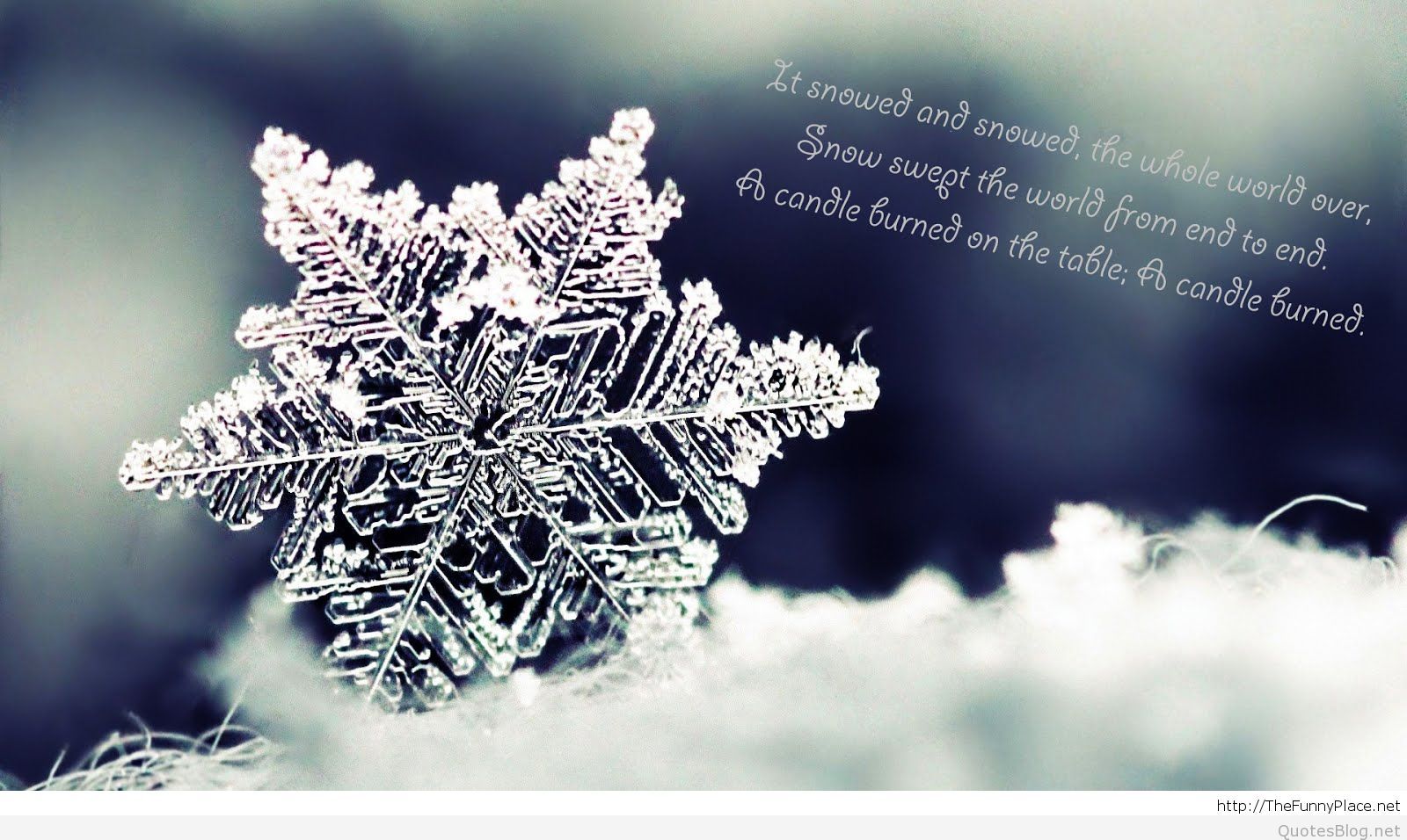Winter Background With Quotes - HD Wallpaper 