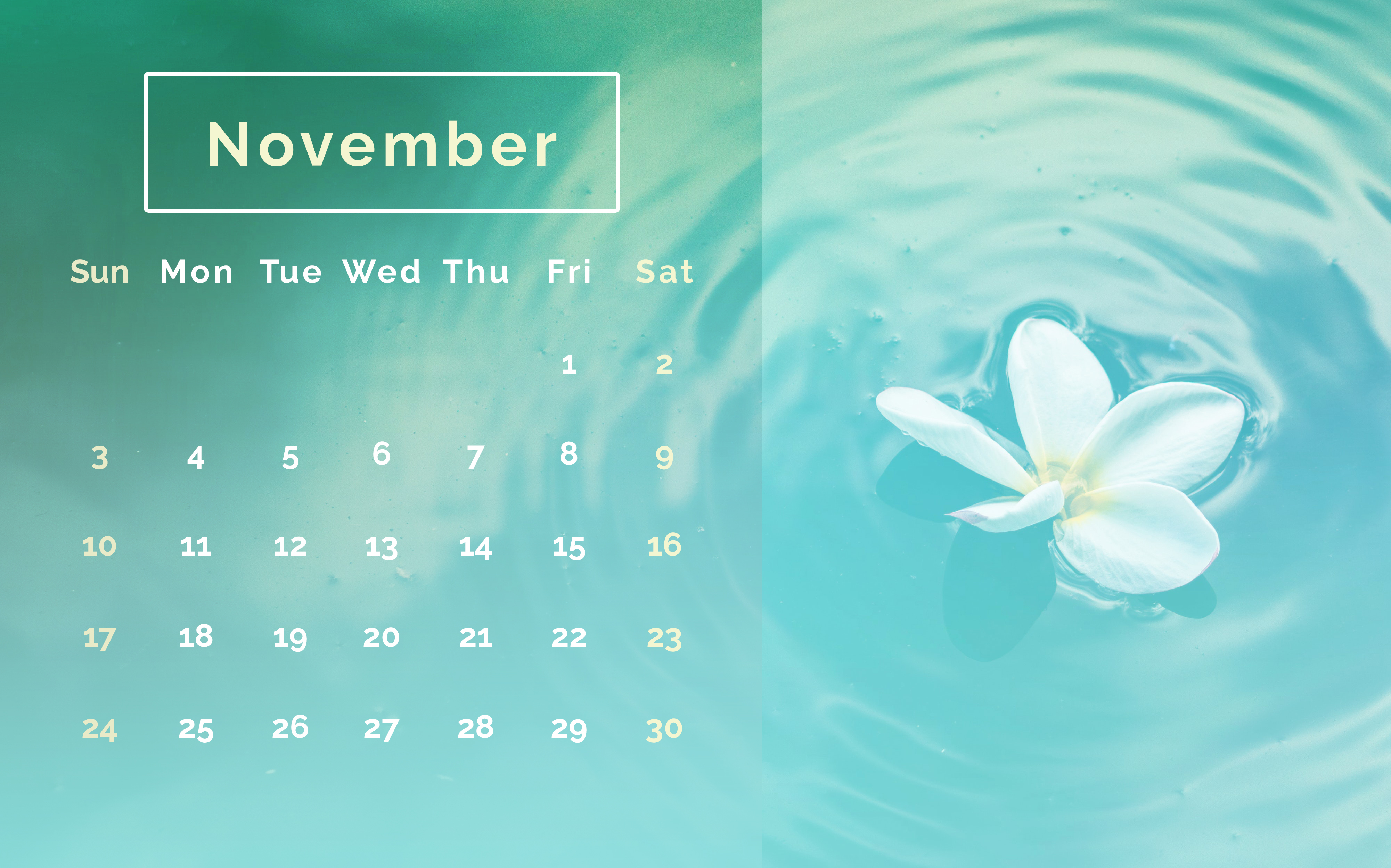 Cute November 2019 Wallpaper Calendar - Calendar November 2019 Desktop - HD Wallpaper 
