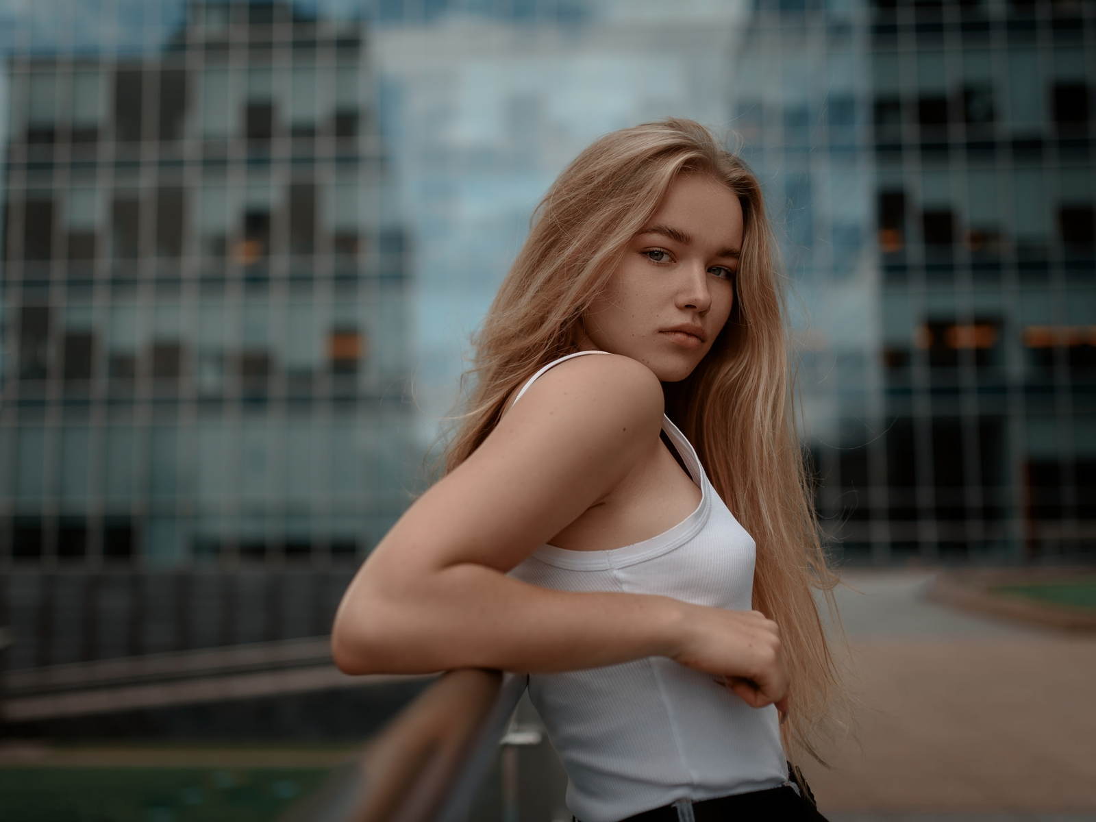 Depth Of Field - HD Wallpaper 