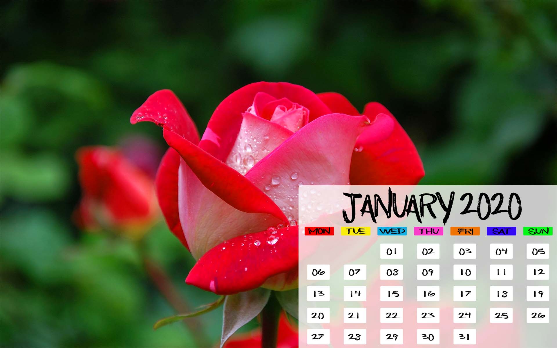 January 2020 Desktop Calendar Wallpapers - Desktop Calendar Wallpaper January 2020 - HD Wallpaper 