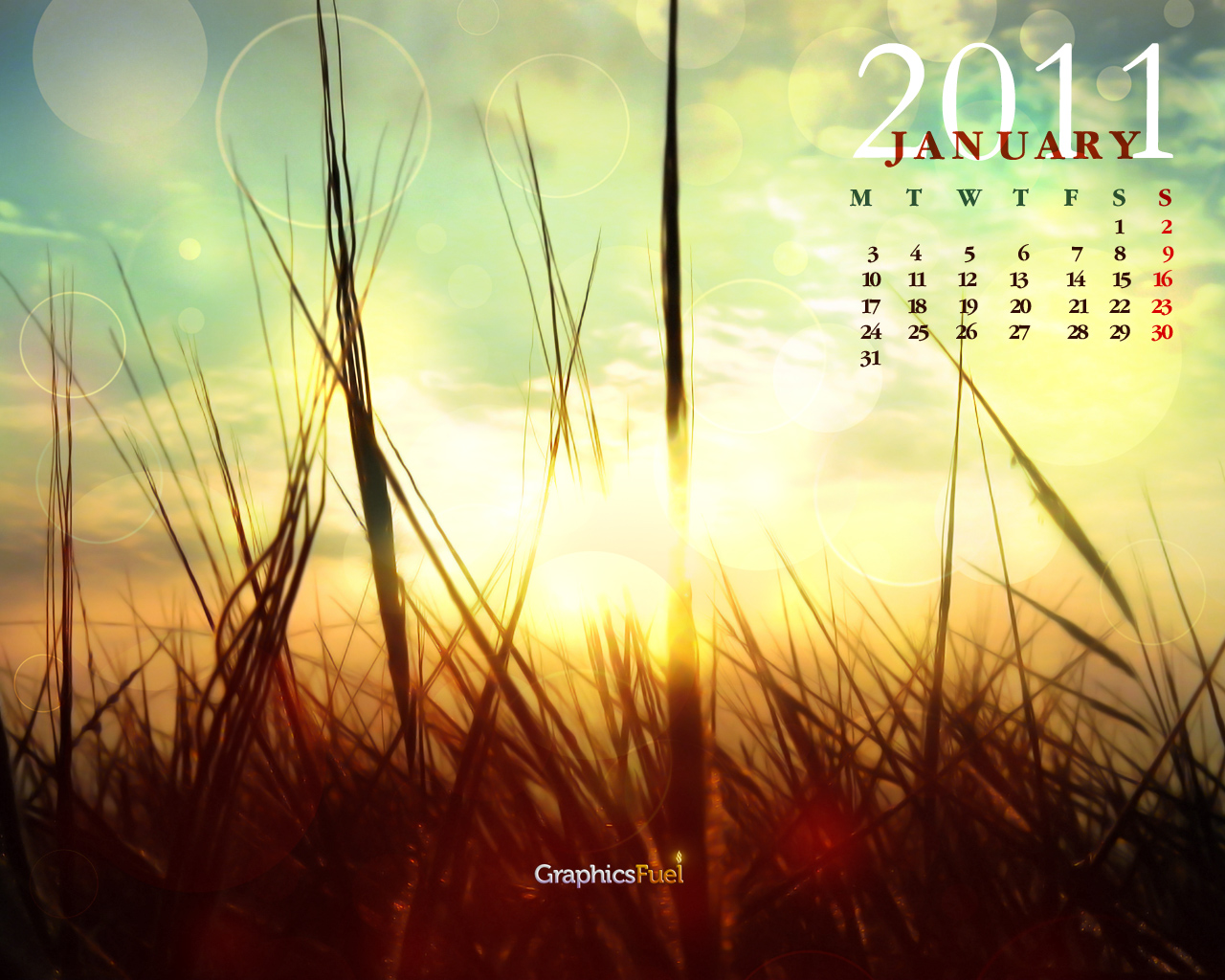 January 2011 Calendar - HD Wallpaper 