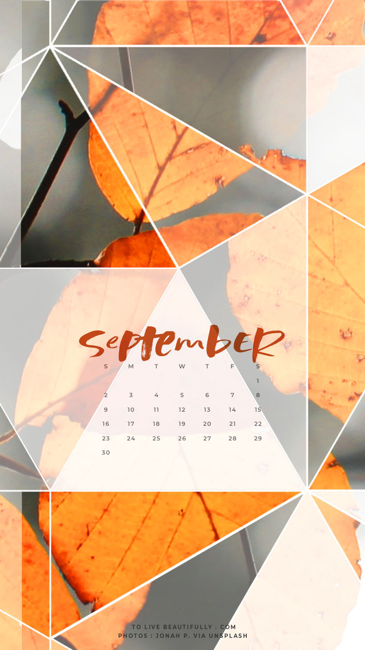 Triangle - HD Wallpaper 