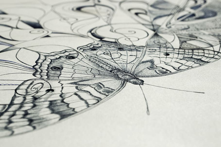 Pen, Biro, Design, Draw, Pattern, Texture, Lines, Outline, - Sketch - HD Wallpaper 