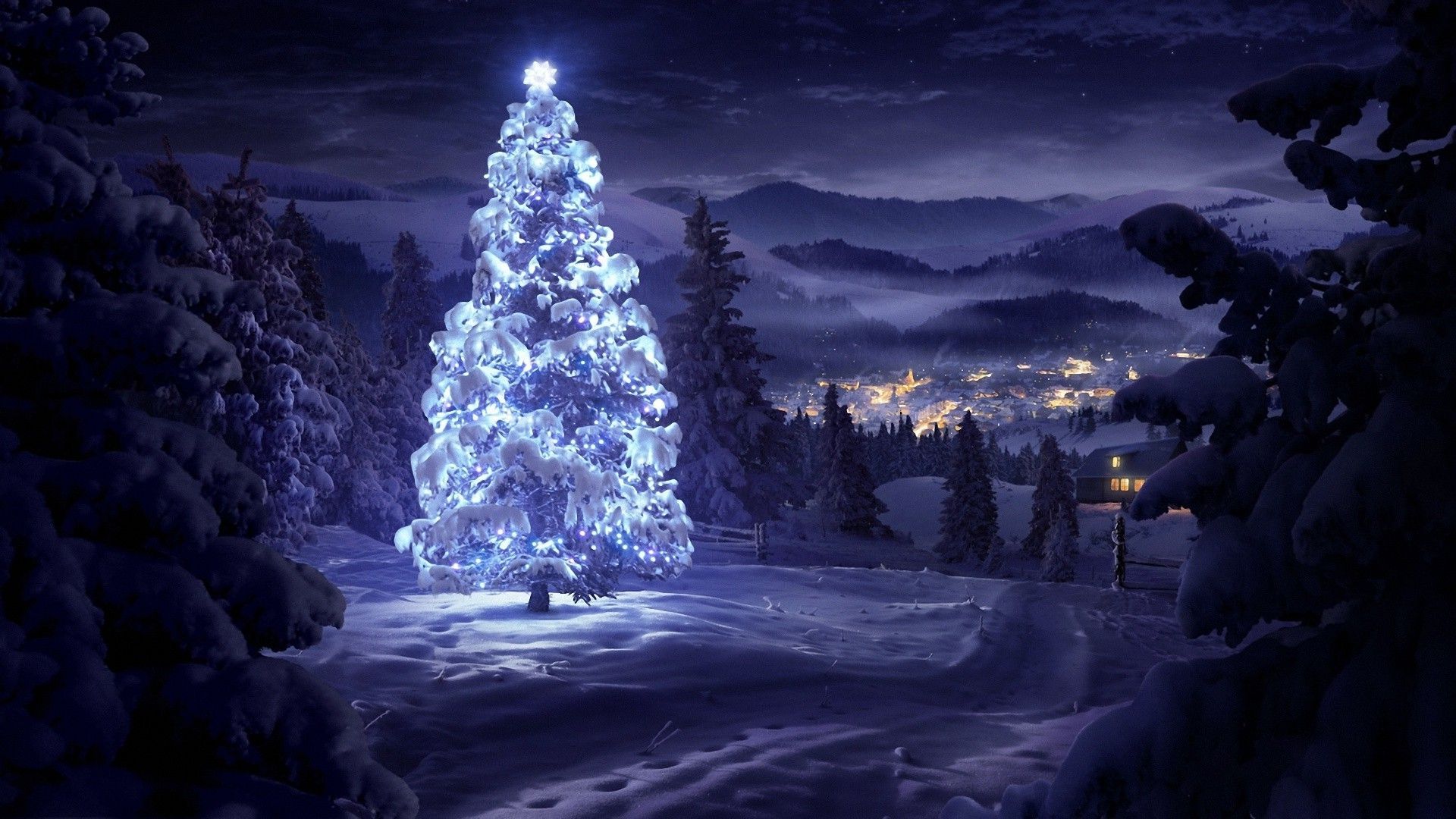 Christmas Tree In The Snow Holiday Hd Wallpaper - Christmas Wallpaper Hd - HD Wallpaper 