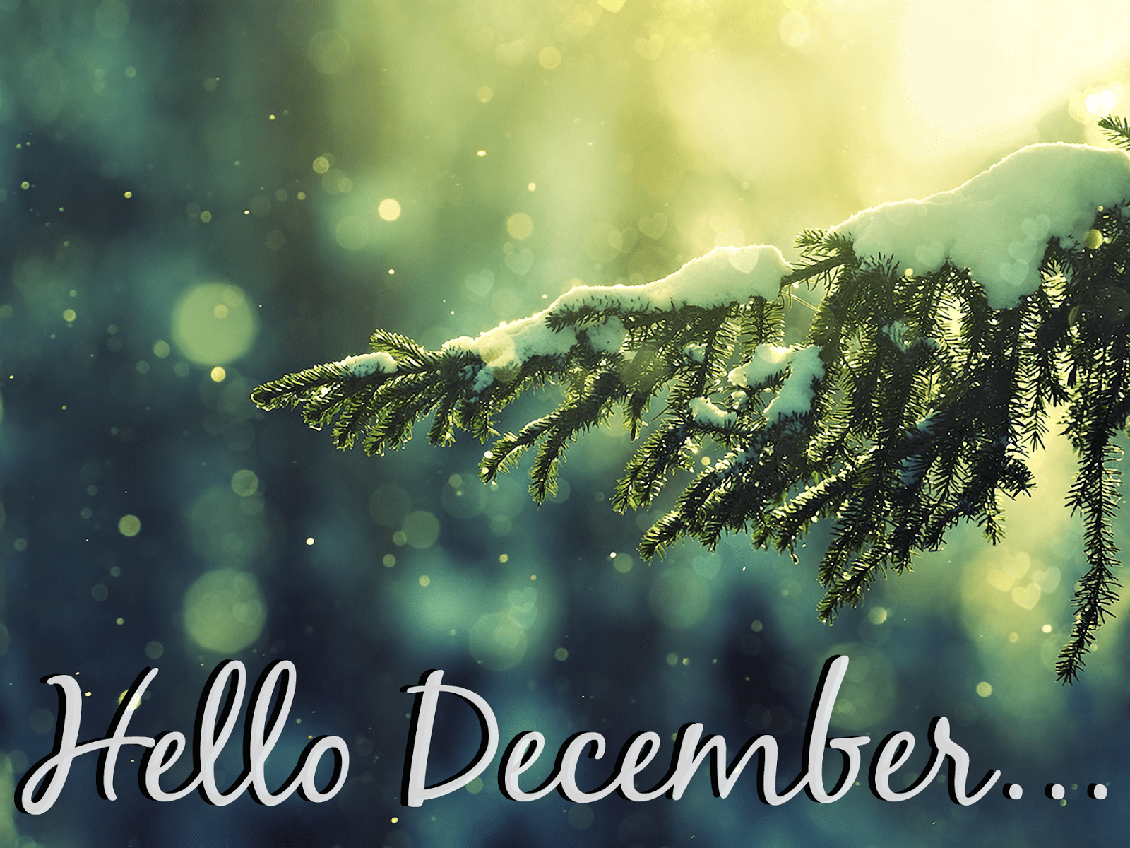 Hello December Wallpaper - Hello December Hd - HD Wallpaper 