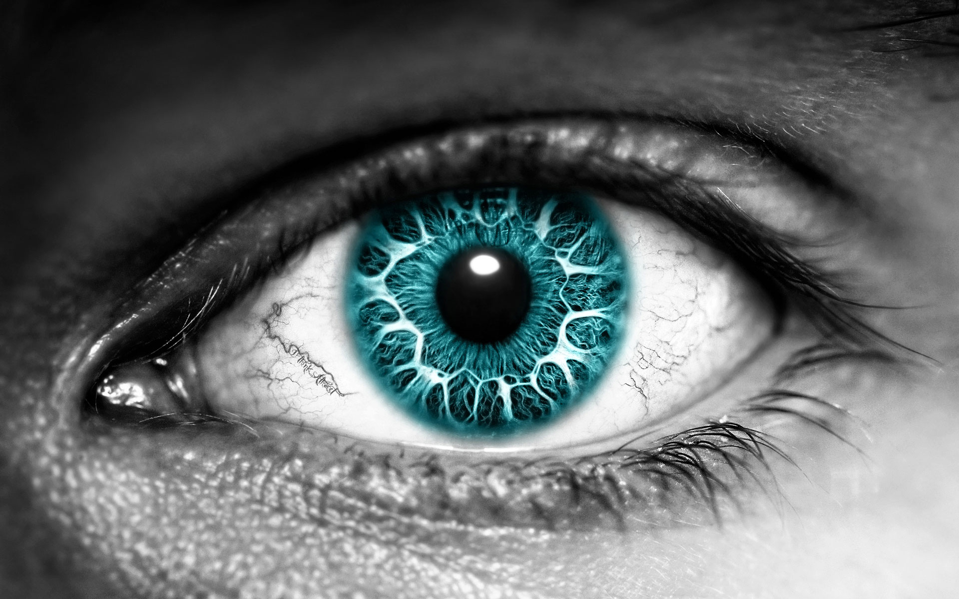 Hd Image 3d Download - HD Wallpaper 