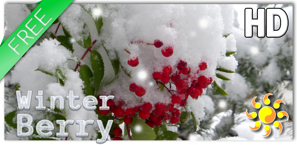 Winter Berry Live Wallpaper - Snow - HD Wallpaper 