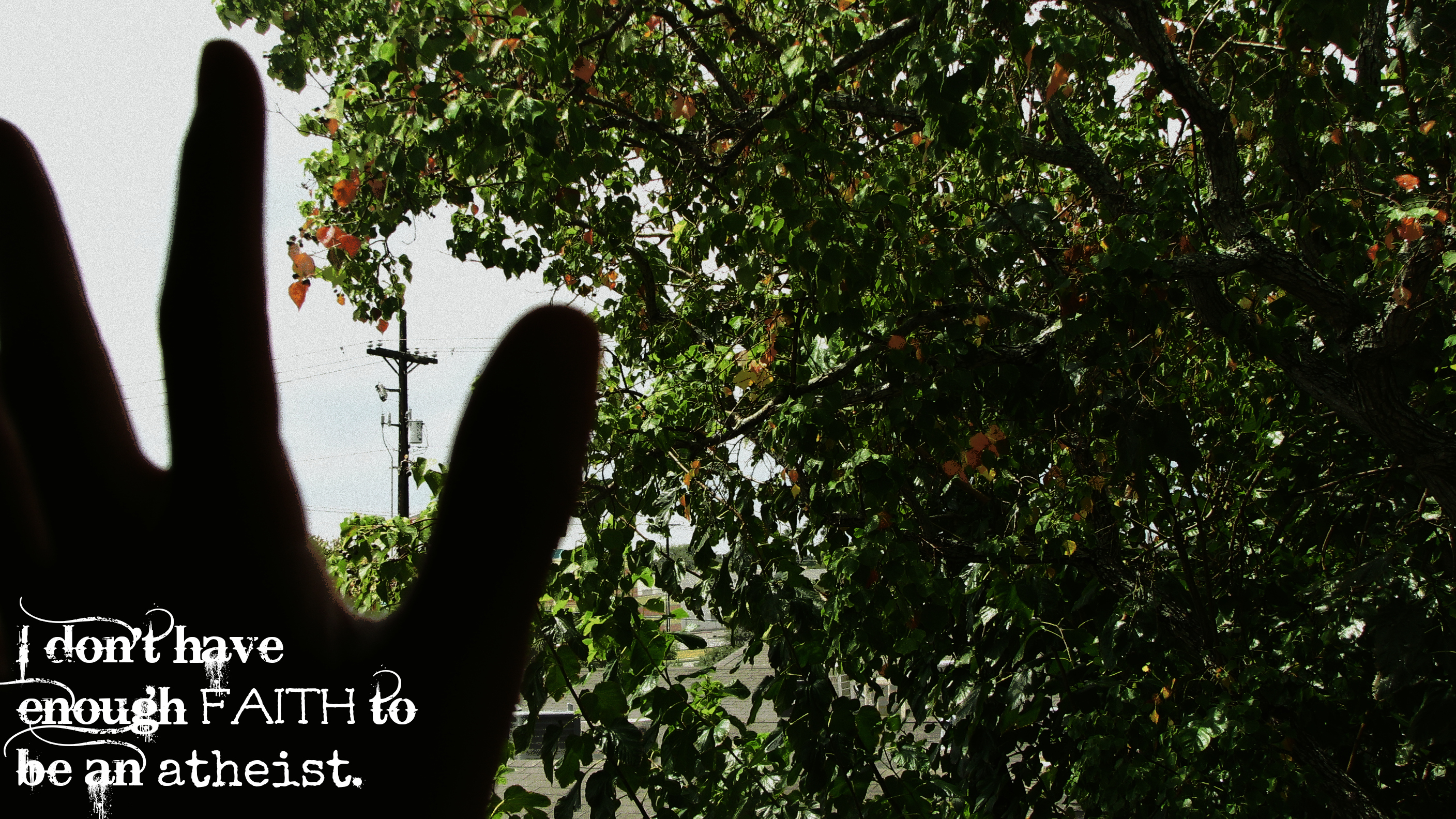 Wallpaper - HD Wallpaper 