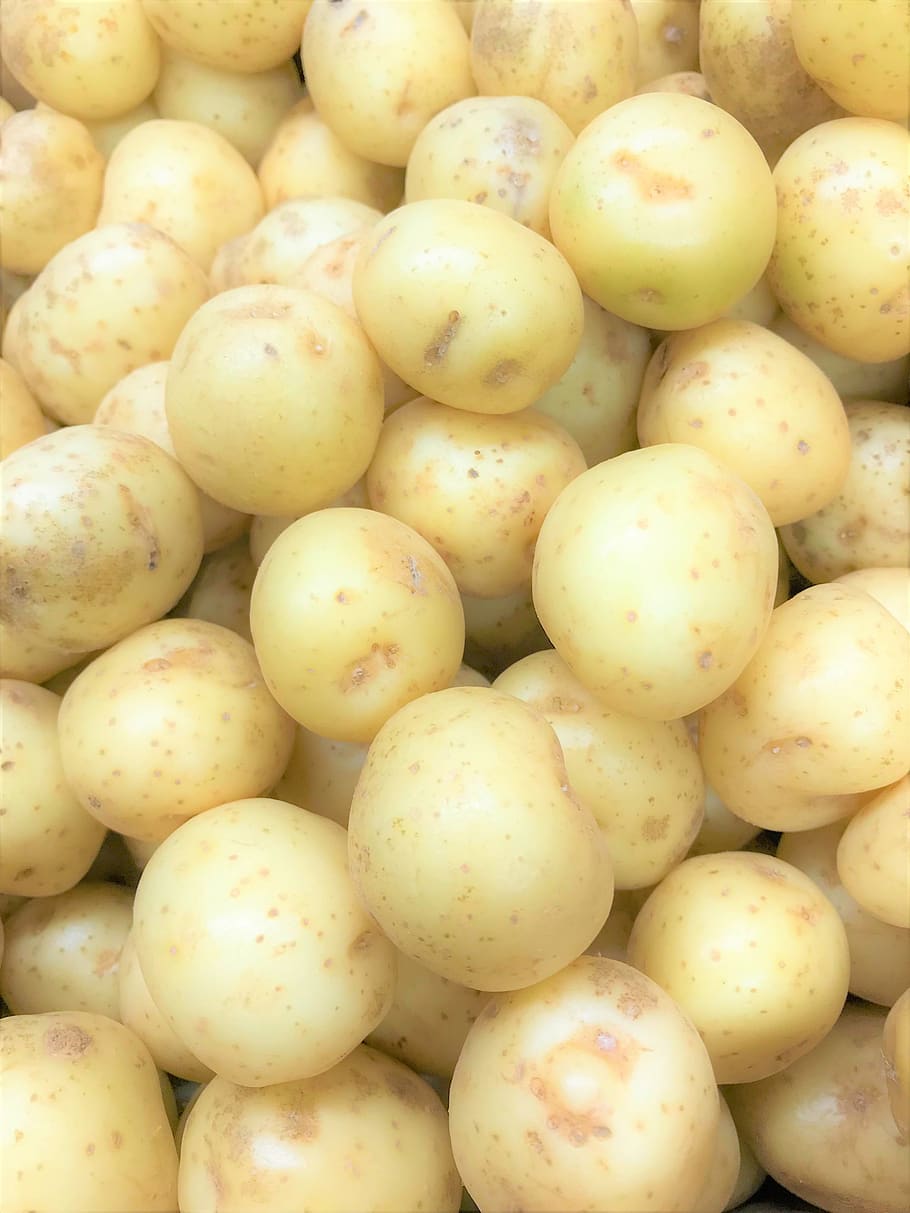 Potato, Farm, Mash, Roast, Chip, Boiled, Jersey, Dinner, - Gourd - HD Wallpaper 