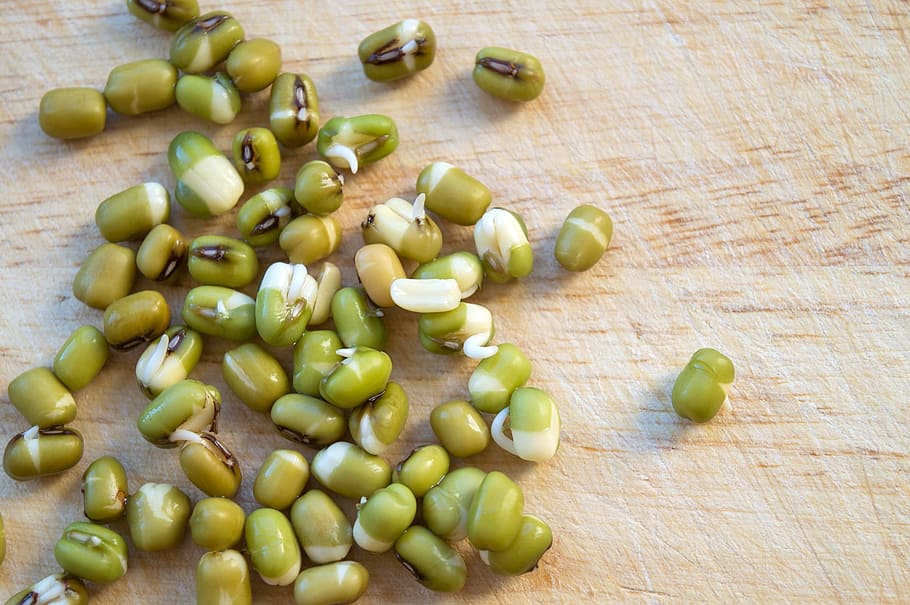 Mash, Sprouts, Golden Gram, Golden Gram Sprouts, Nutrition, - HD Wallpaper 