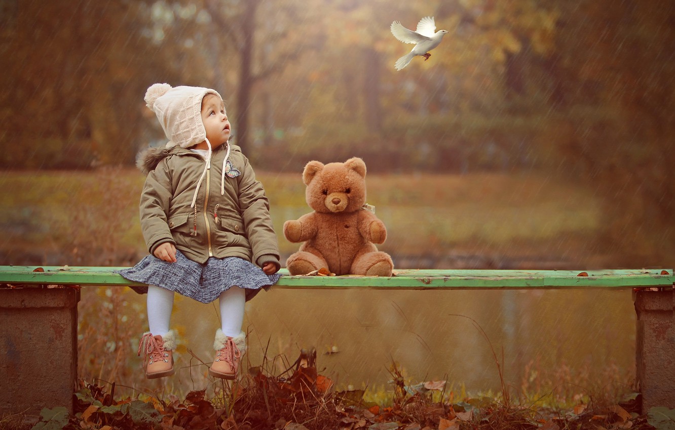 Photo Wallpaper Autumn, Nature, Rain, Bird, Toy, Dove, - Teddy Bear - HD Wallpaper 