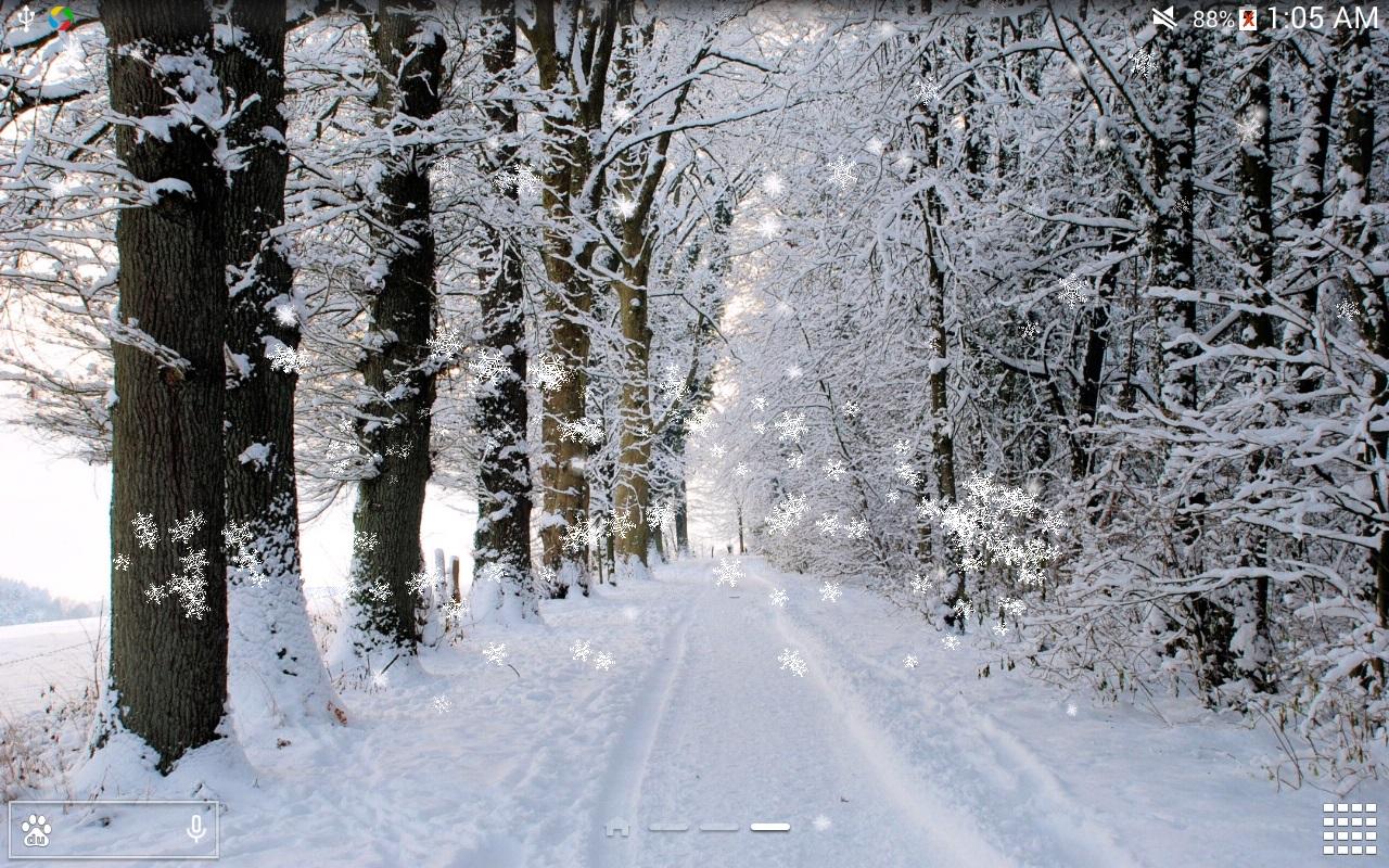 Winter Path - HD Wallpaper 