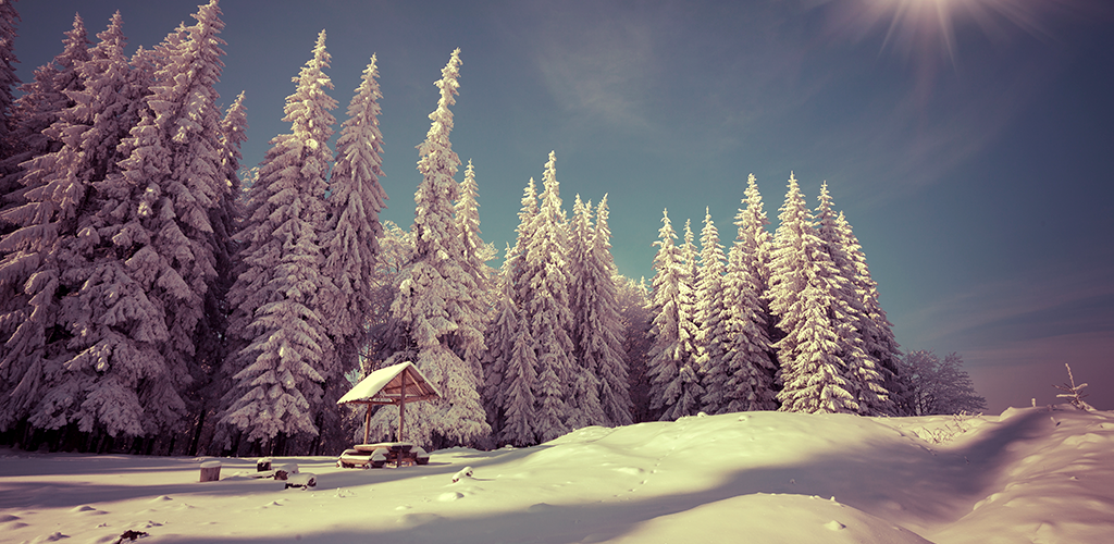 Snow - HD Wallpaper 