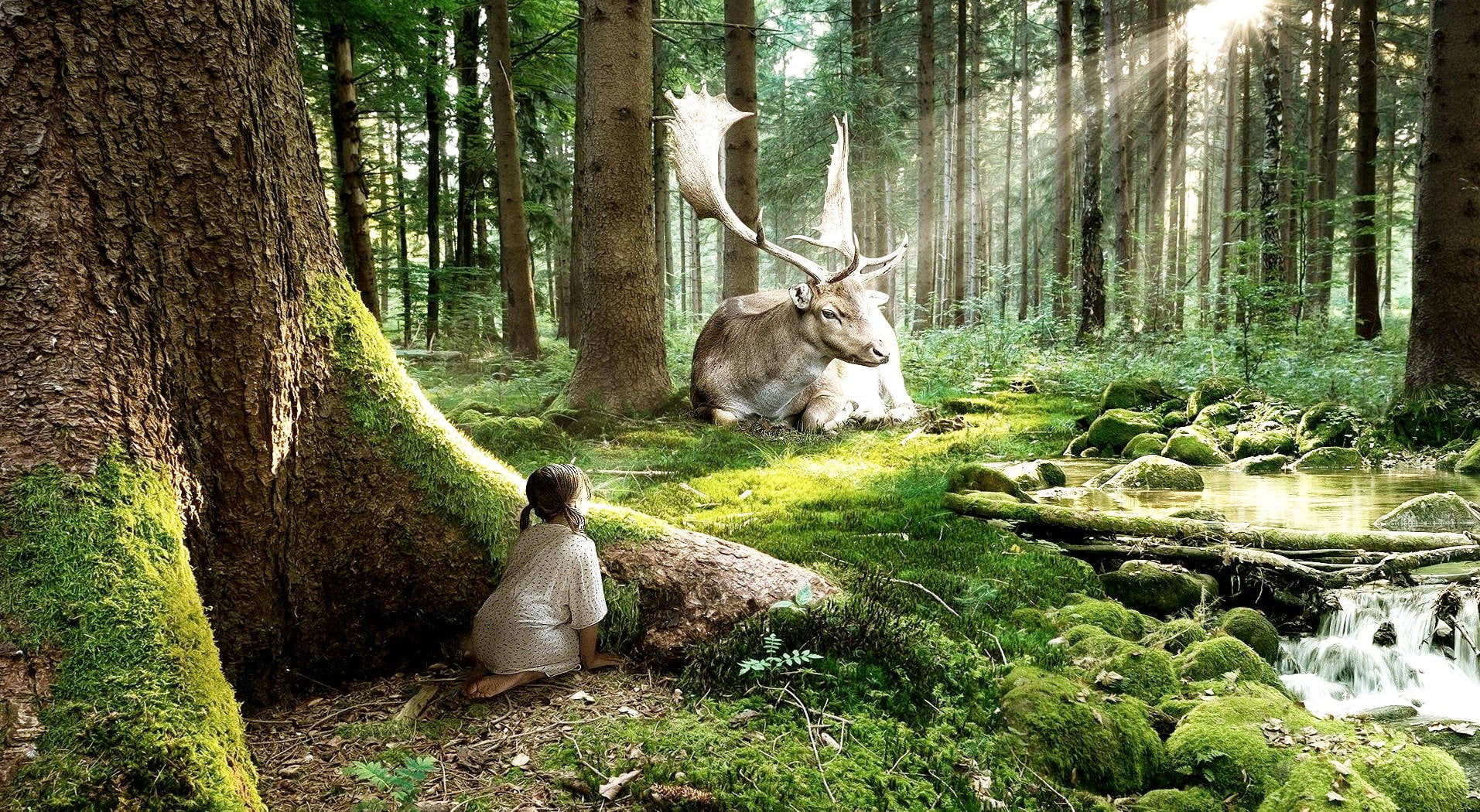 Children's Woodland Wallpaper - HD Wallpaper 