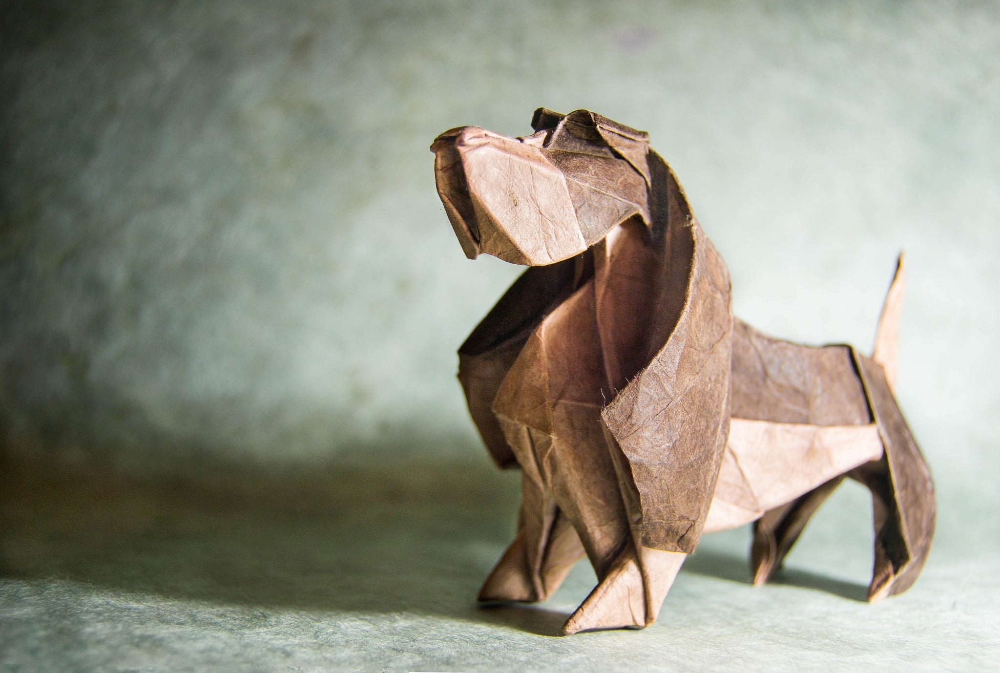 Origami Basset Hound - HD Wallpaper 