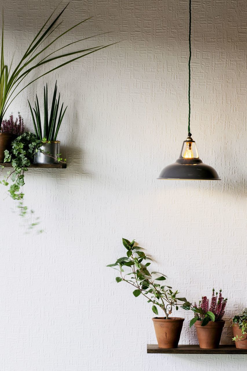 Supaglypta Wallpaper - HD Wallpaper 