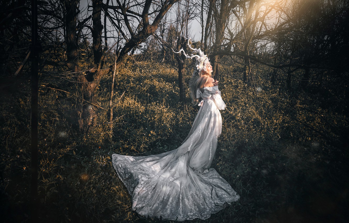 Photo Wallpaper Forest, Grass, Girl, Light, Trees, - Old-growth Forest - HD Wallpaper 