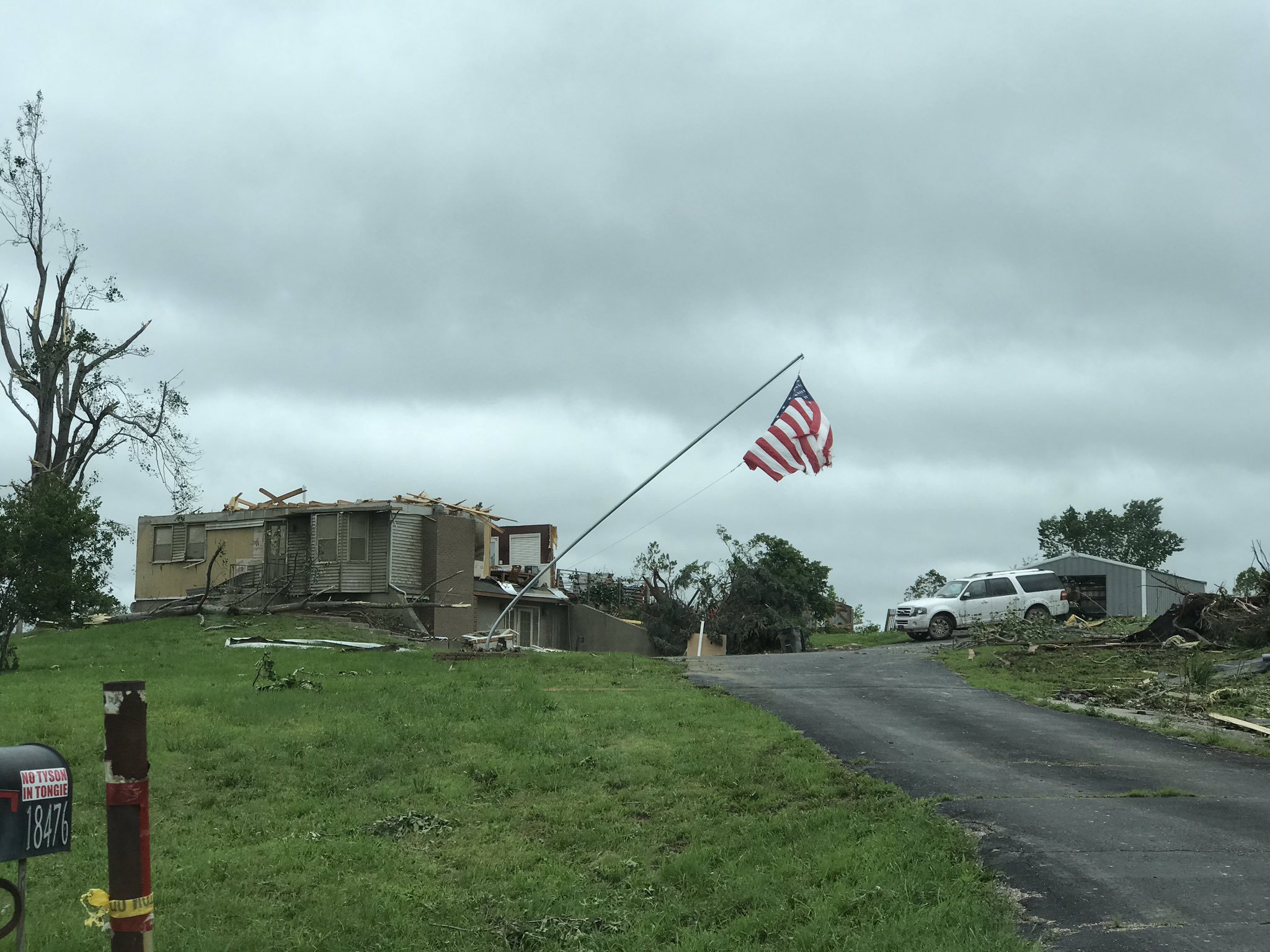 Grass - HD Wallpaper 