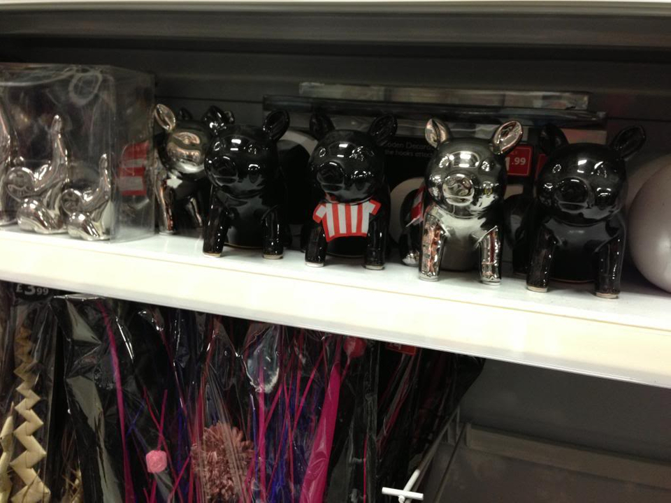 Display Case - HD Wallpaper 