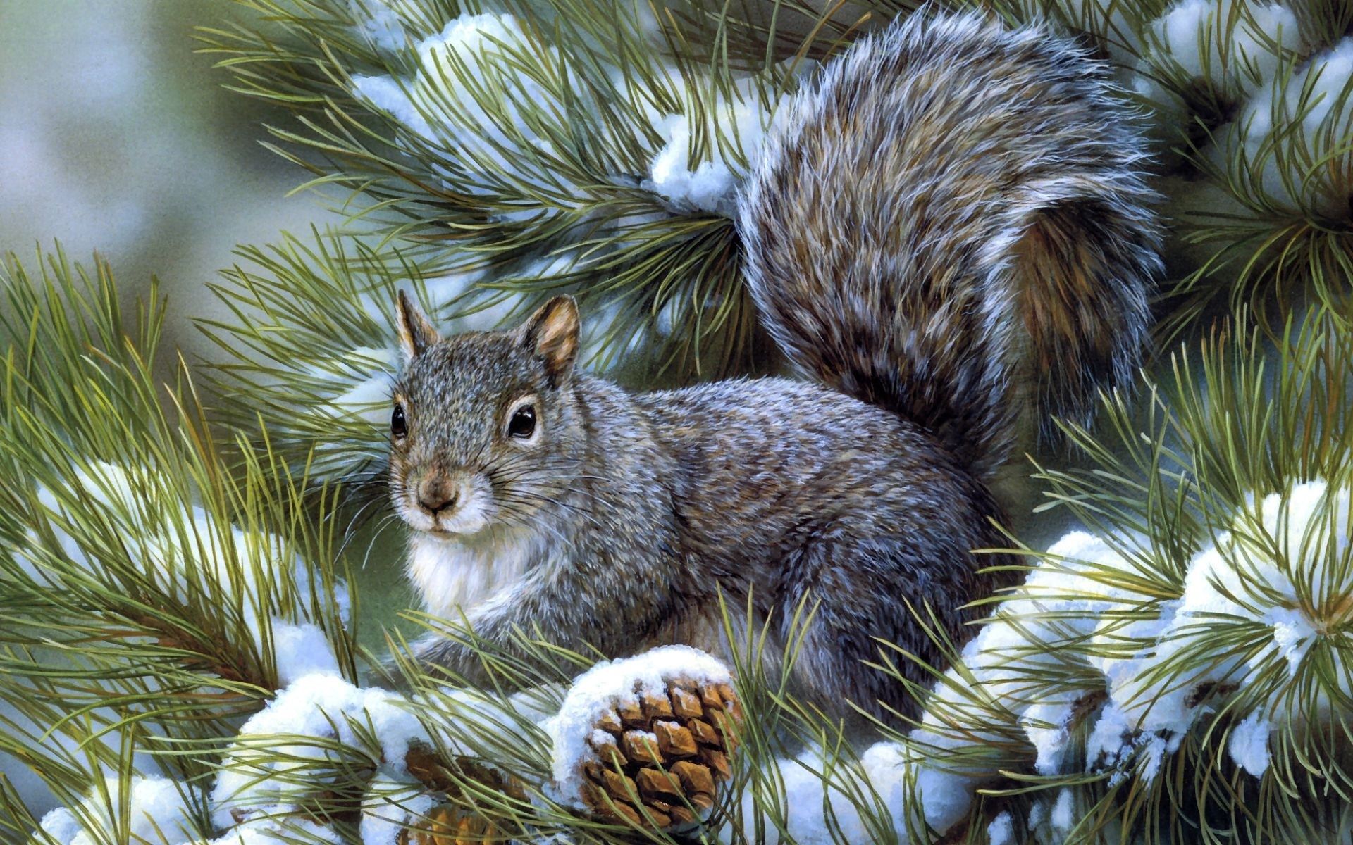 Art, Squirrel, Pine, Winter - Scoiattolo Bellissimo - HD Wallpaper 