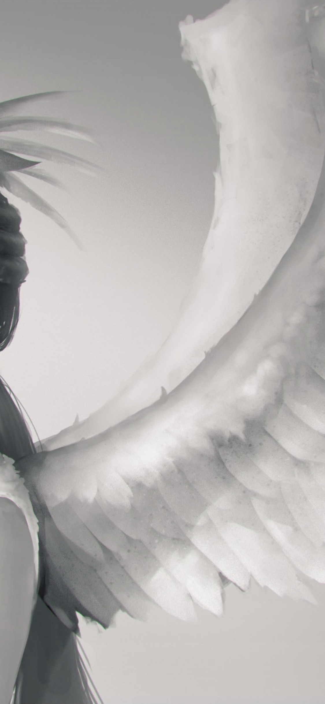 Angel, Wings, Profile View - Angel Wings Iphone X - HD Wallpaper 
