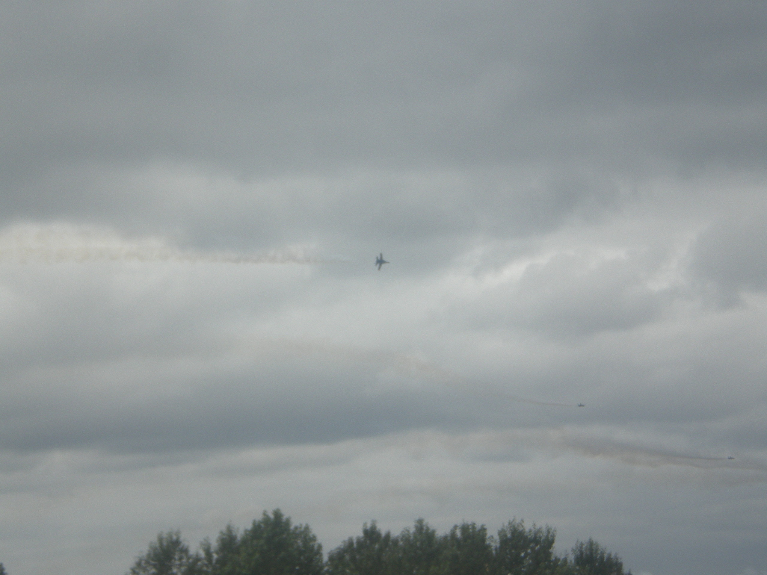 Blue Angles In The Sky - Tree - HD Wallpaper 