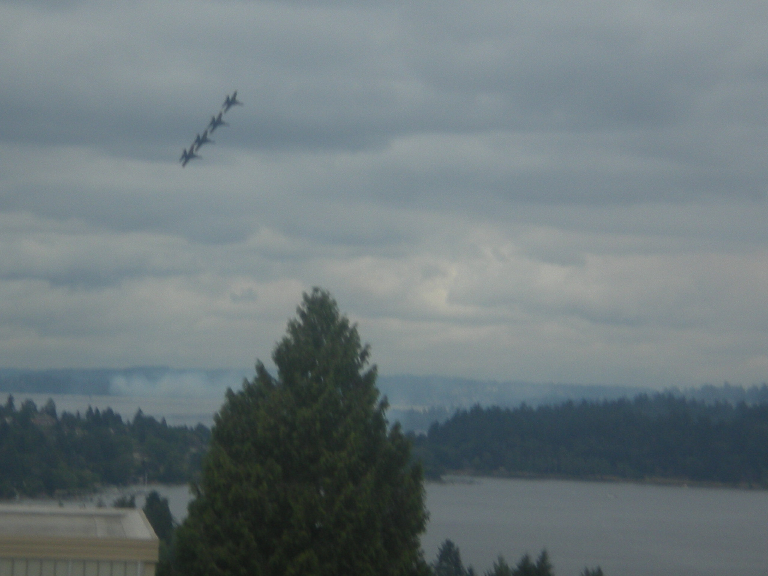 Blue Angles In The Sky - Shortleaf Black Spruce - HD Wallpaper 