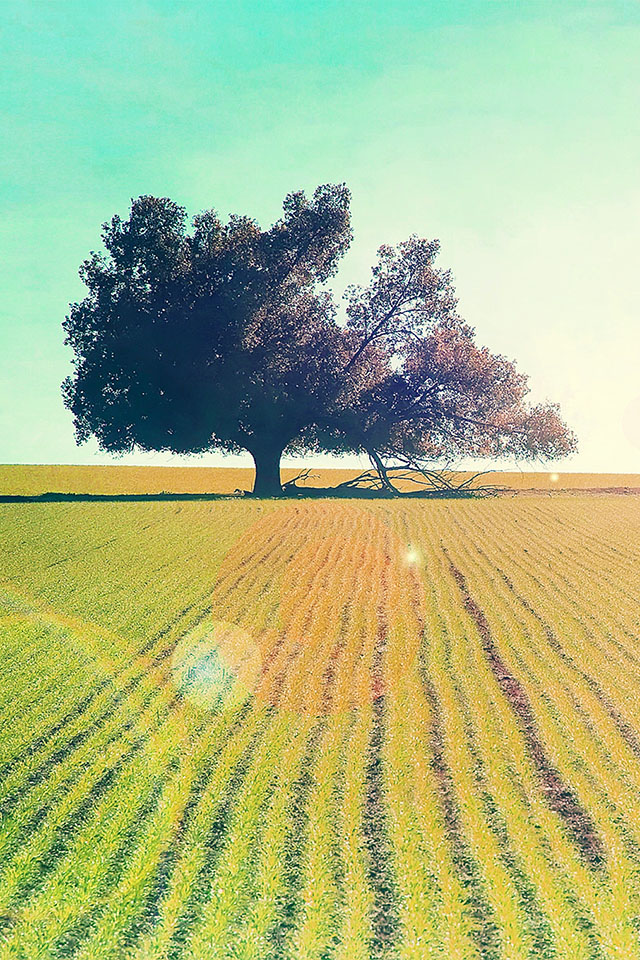 Com Apple Wallpaper 131 I B Iphone4 - HD Wallpaper 