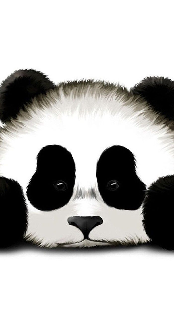 Sad Panda - HD Wallpaper 