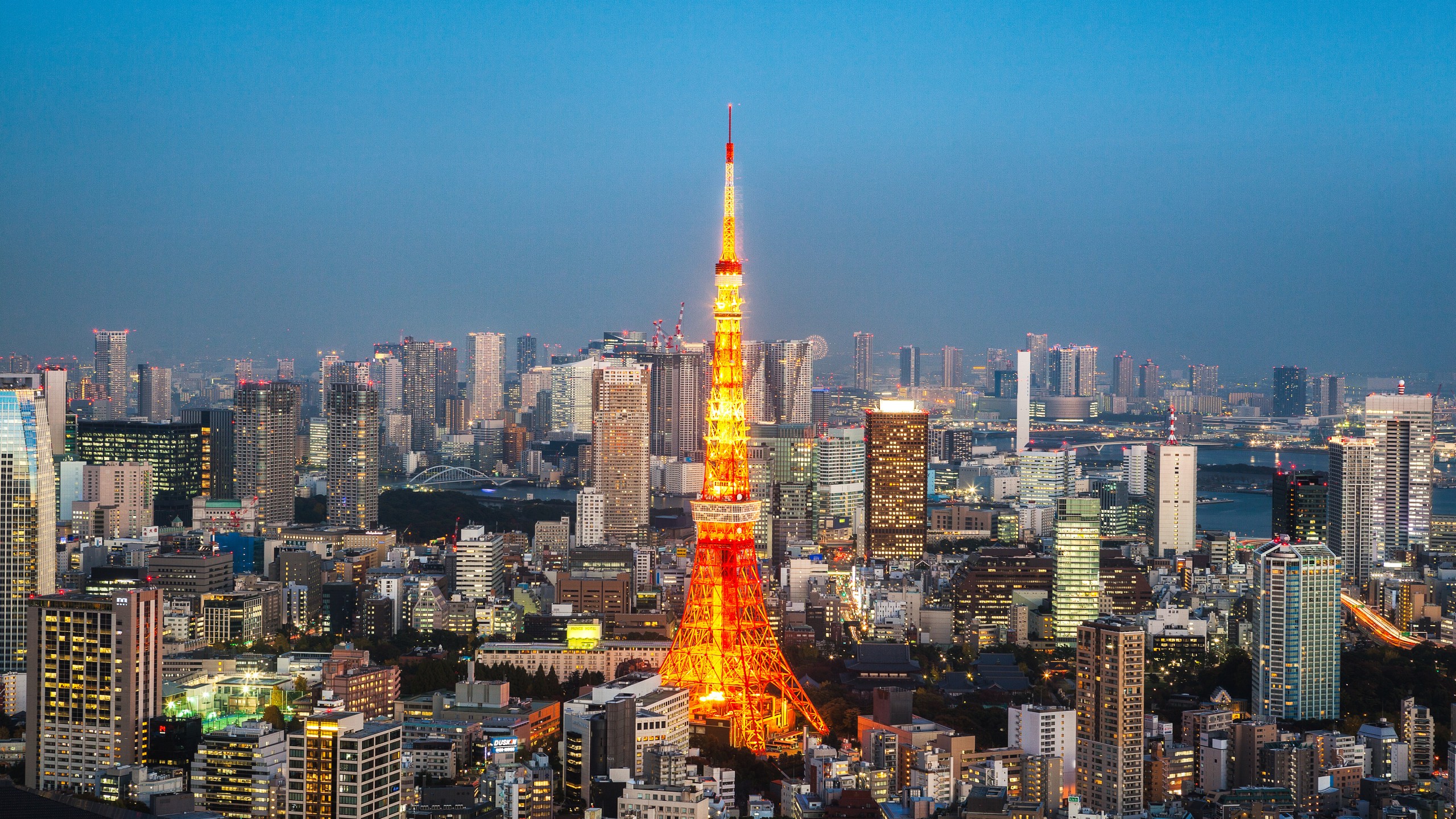 Tokyo Tower 4k - HD Wallpaper 