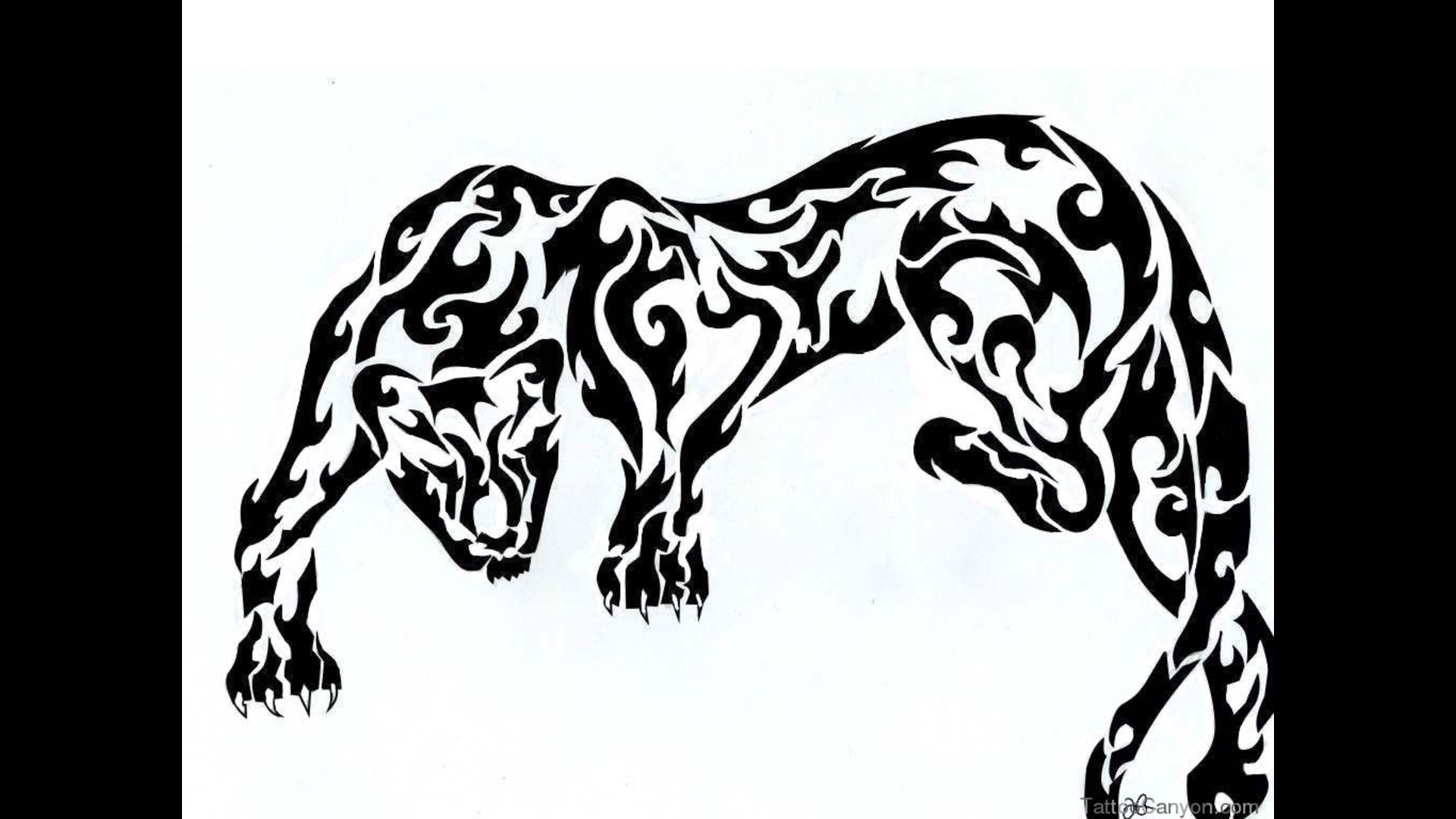 Designs Tribal Panther In Black Tattoo Wallpaper Tattoo - Pantera Maori Tattoo - HD Wallpaper 