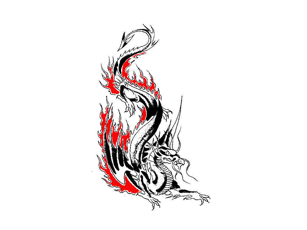 Download Free Designs Dragon In Flame Tattoo Wallpaper - Illustration - HD Wallpaper 