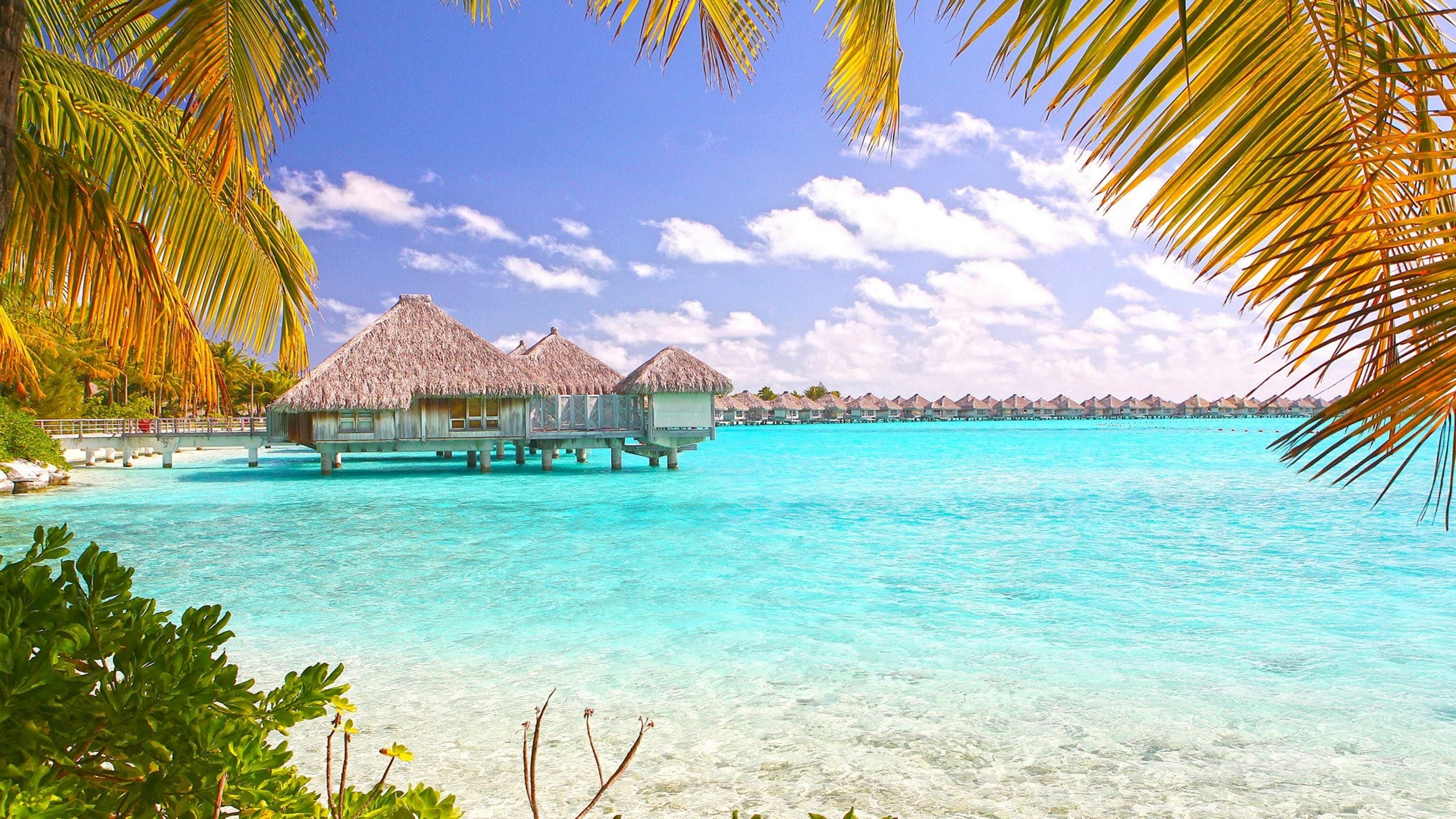 Relaxing Wallpaper - Bora Bora Tropical Beach - HD Wallpaper 