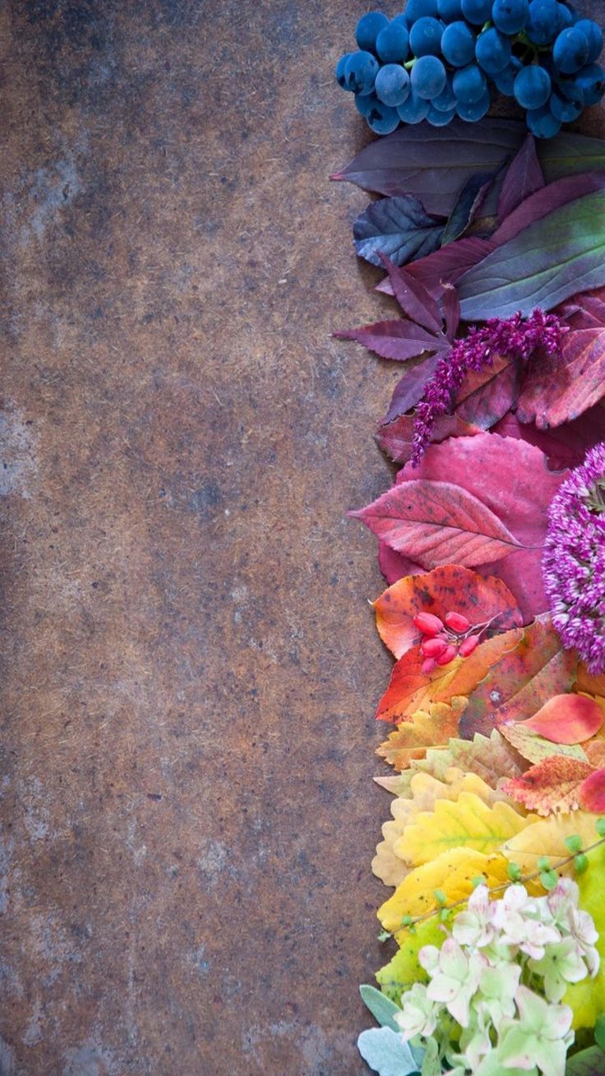 Leaves Colorfull Background Wallpaper - Background Wallpapers For Mobile - HD Wallpaper 