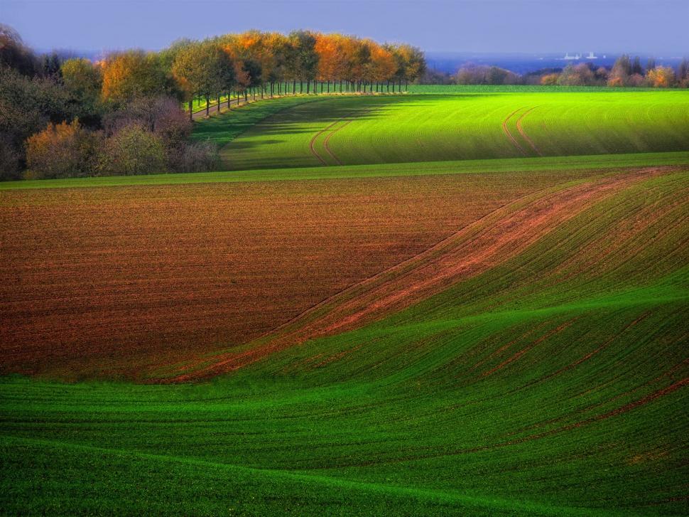 Autumn Farm Field, Trees, Green And Brown, Beautiful - HD Wallpaper 