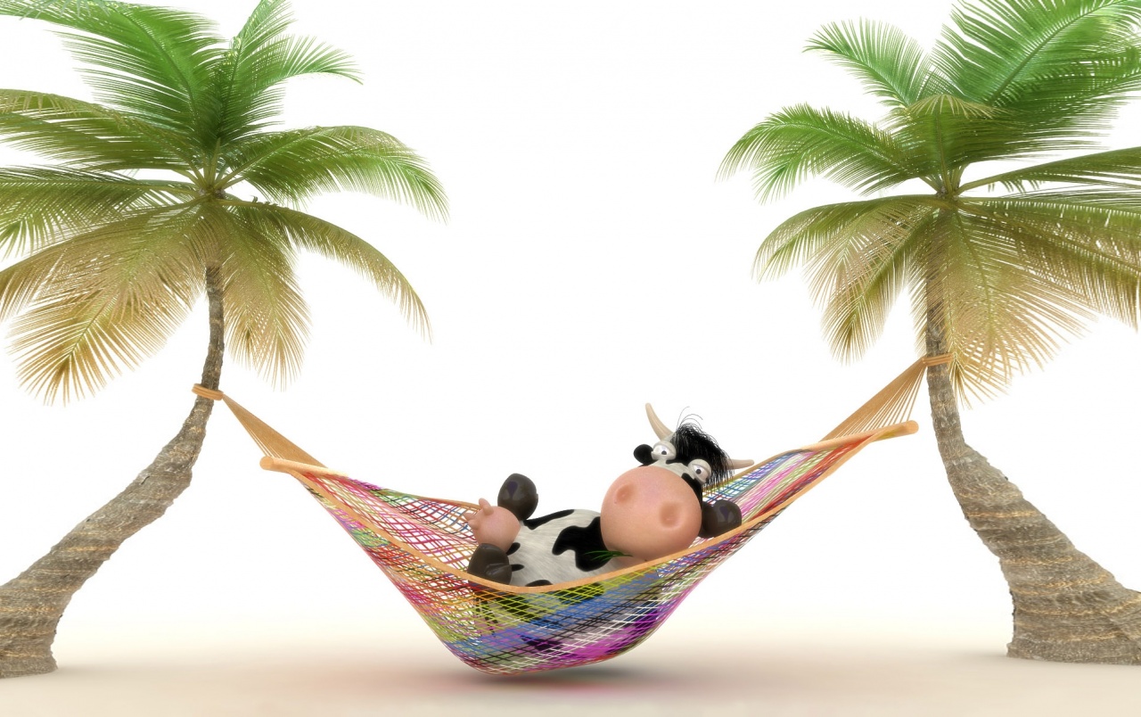 Relaxing Wallpapers - Funny Cow Wallpaper 4k - HD Wallpaper 